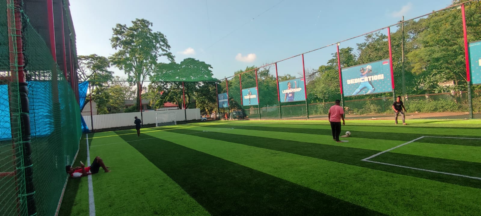 Football Turf Image 2